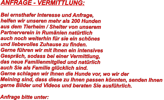 ANFRAGE - VERMITTLUNG:  Bei ernsthafer Interesse und Anfrage, helfen wir unseren mehr als 200 Hunden  aus dem Tierheim / Shelter von unserem  Partnerverein in Rumänien natürtlich  auch noch weiterhin für sie ein schönes  und liebevolles Zuhause zu finden. Gerne führen wir mit Ihnen ein intensives Gespräch, sodass bei einer Vermittlung,  das neue Familienmitglied und natürlich auch Sie als Familie glücklich sind. Gerne schlagen wir Ihnen die Hunde vor, wo wir der  Meining sind, dass diese zu Ihnen passen könnten, senden Ihnen  gerne Bilder und Videos und beraten Sie ausführlich.  Anfrage bitte unter: