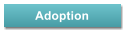 Adoption